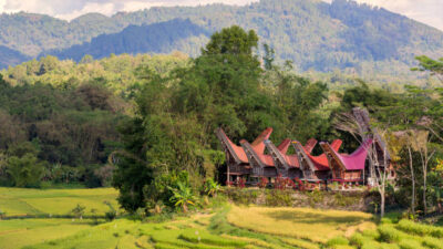 Tana Toraja: Keajaiban Alam dan Budaya yang Menyentuh Hati di Sulawesi Selatan