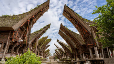 Tana Toraja: Keajaiban Alam dan Budaya yang Menyentuh Hati di Sulawesi Selatan